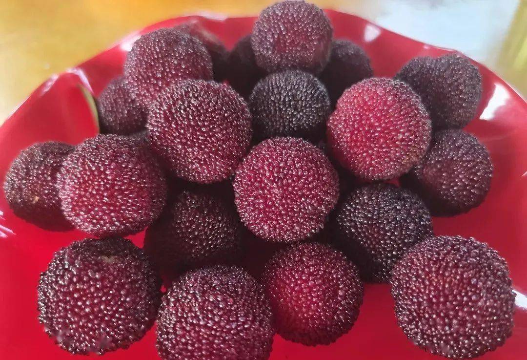 玉黛湖富硒水果采摘价格（玉黛湖富硒水果采摘价格）-硒宝网