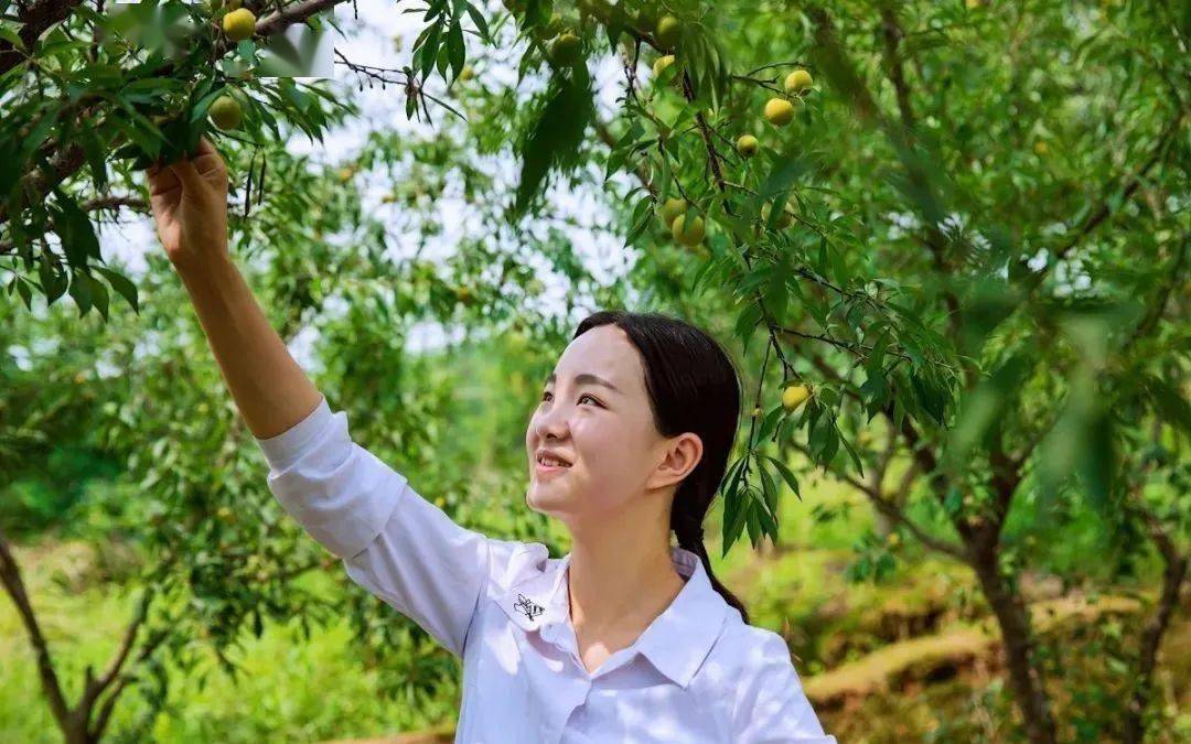 玉黛湖富硒水果采摘价格（玉黛湖富硒水果采摘价格）-硒宝网