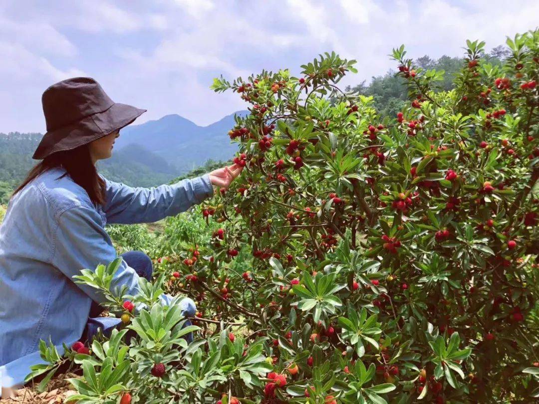 玉黛湖富硒水果采摘价格（玉黛湖富硒水果采摘价格）-硒宝网