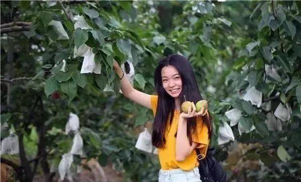 玉黛湖富硒水果采摘价格（玉黛湖富硒水果采摘价格）-硒宝网