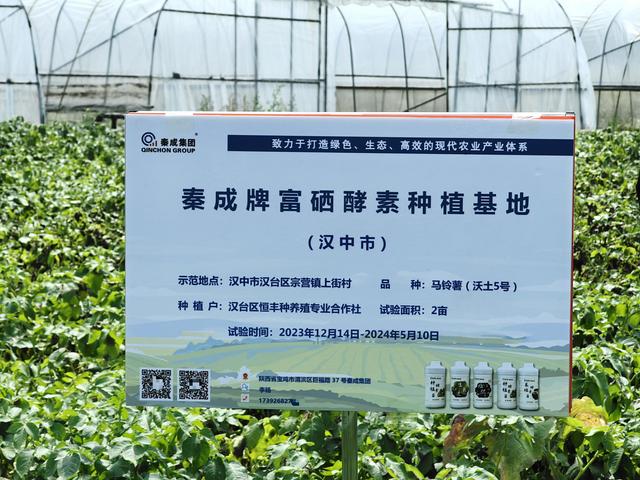 富硒水果花生产自哪里呀(富硒花生主要产地是哪里)-硒宝网