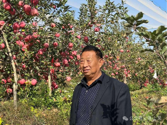 富硒水果对人有什么好处（富硒水果的好处）-硒宝网