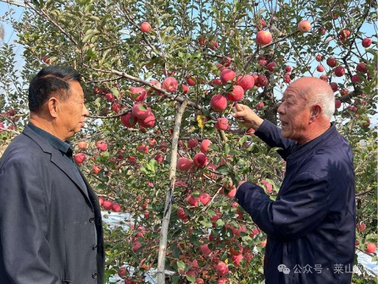 富硒水果对人有什么好处（富硒水果的好处）-硒宝网