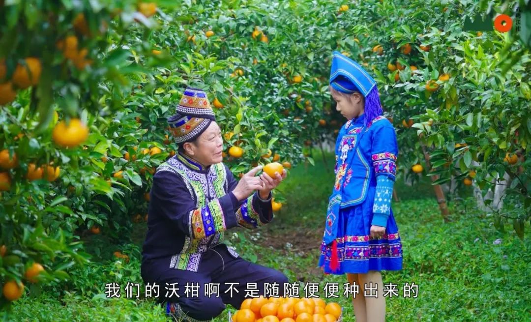 富硒水果包装设计创意点(富硒水果的国家标准是多少)-硒宝网