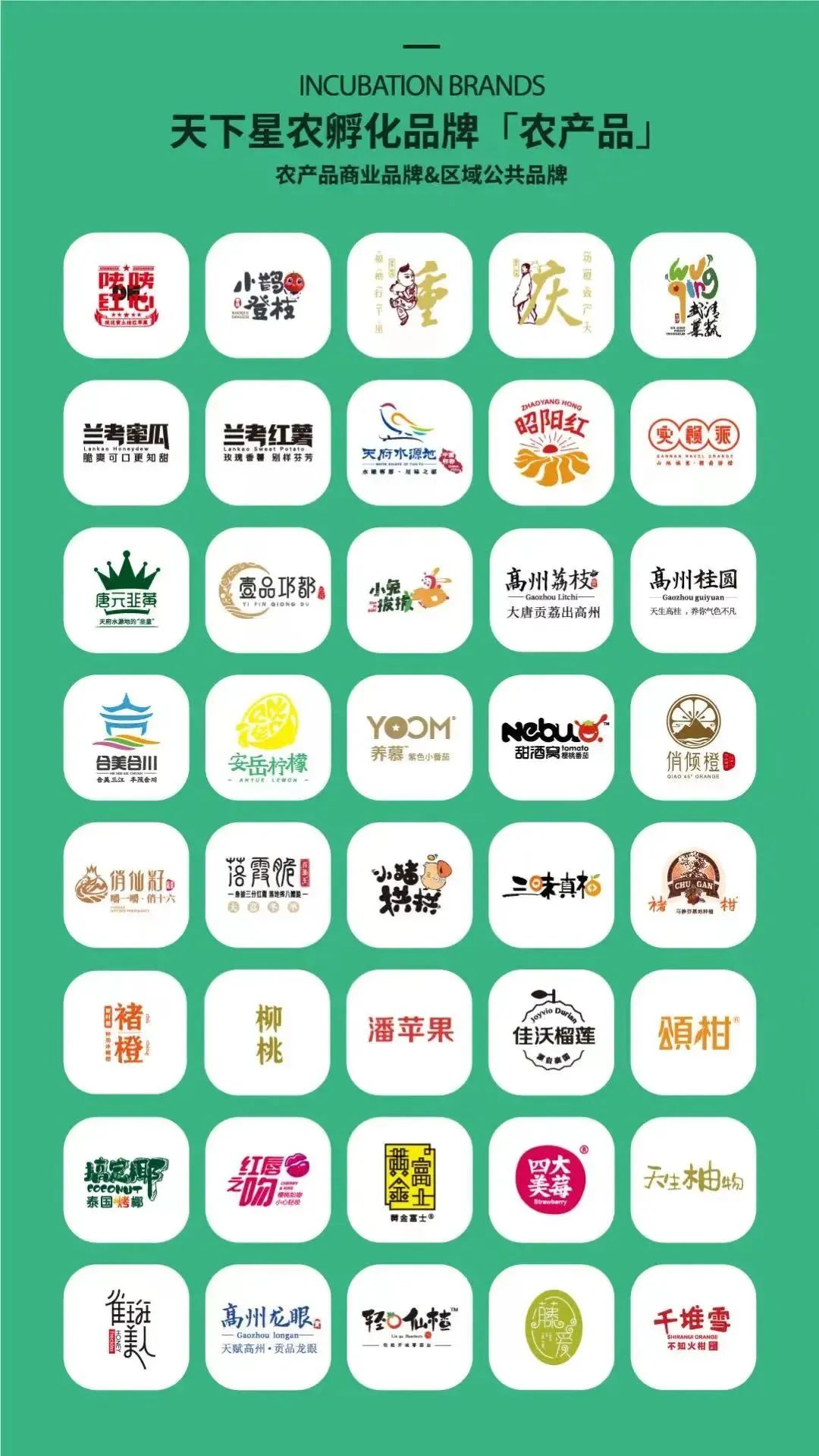 富硒水果包装设计创意点(富硒水果的国家标准是多少)-硒宝网