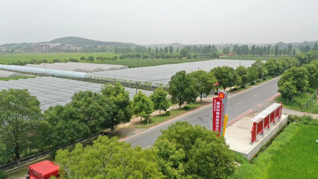 富硒水果标准化基地建设（水果基地建设实施方案）-硒宝网