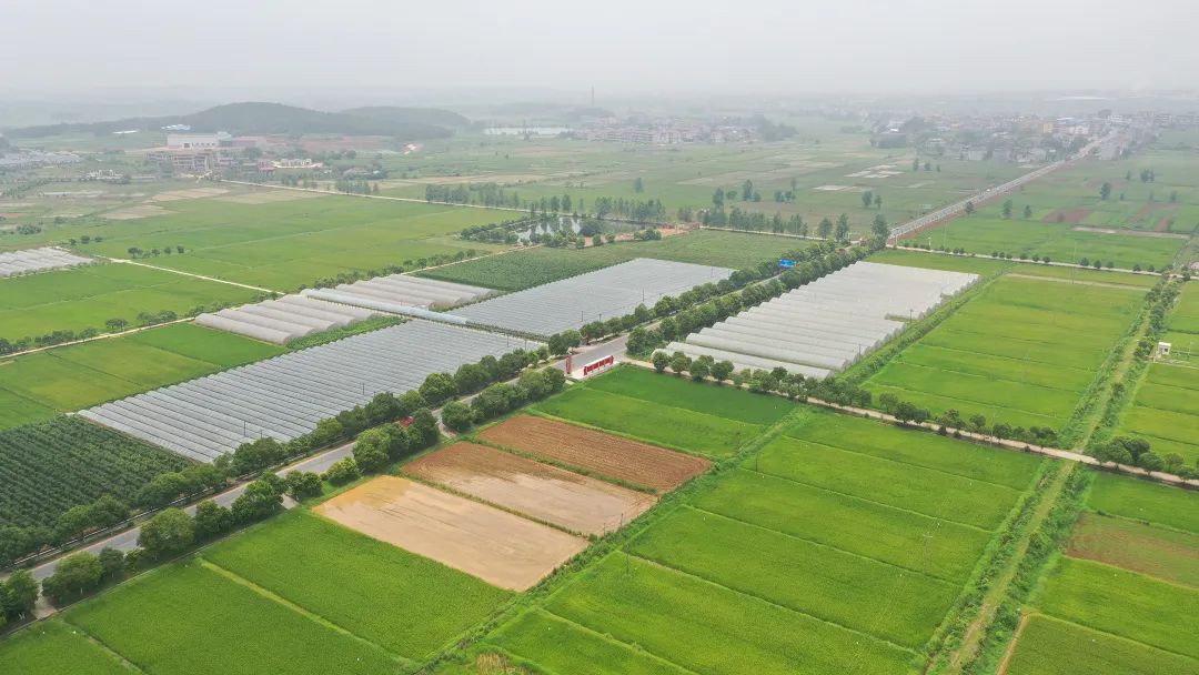 富硒水果标准化基地建设（水果基地建设实施方案）-硒宝网