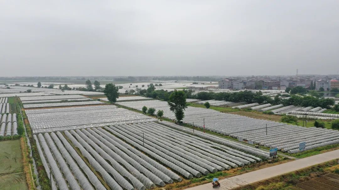 富硒水果标准化基地建设（水果基地建设实施方案）-硒宝网