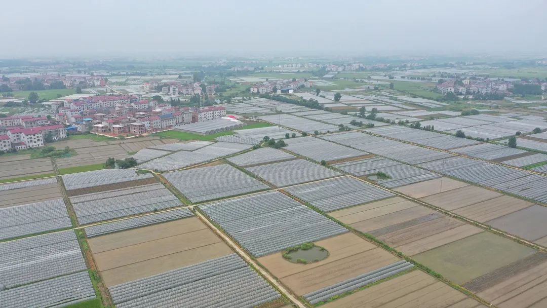 富硒水果标准化基地建设（水果基地建设实施方案）-硒宝网