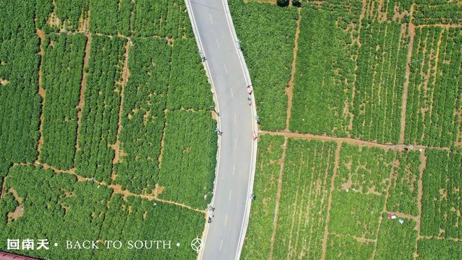 含富硒土地种什么水果树(水果土地树种含富硒多少)-硒宝网