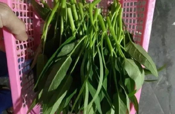 富硒的水果对身体的好坏（什么水果含富硒多）-硒宝网