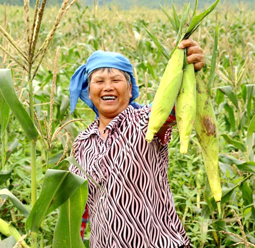 富硒水果生产基地的条件(水果基地条件生产富硒农产品)-硒宝网