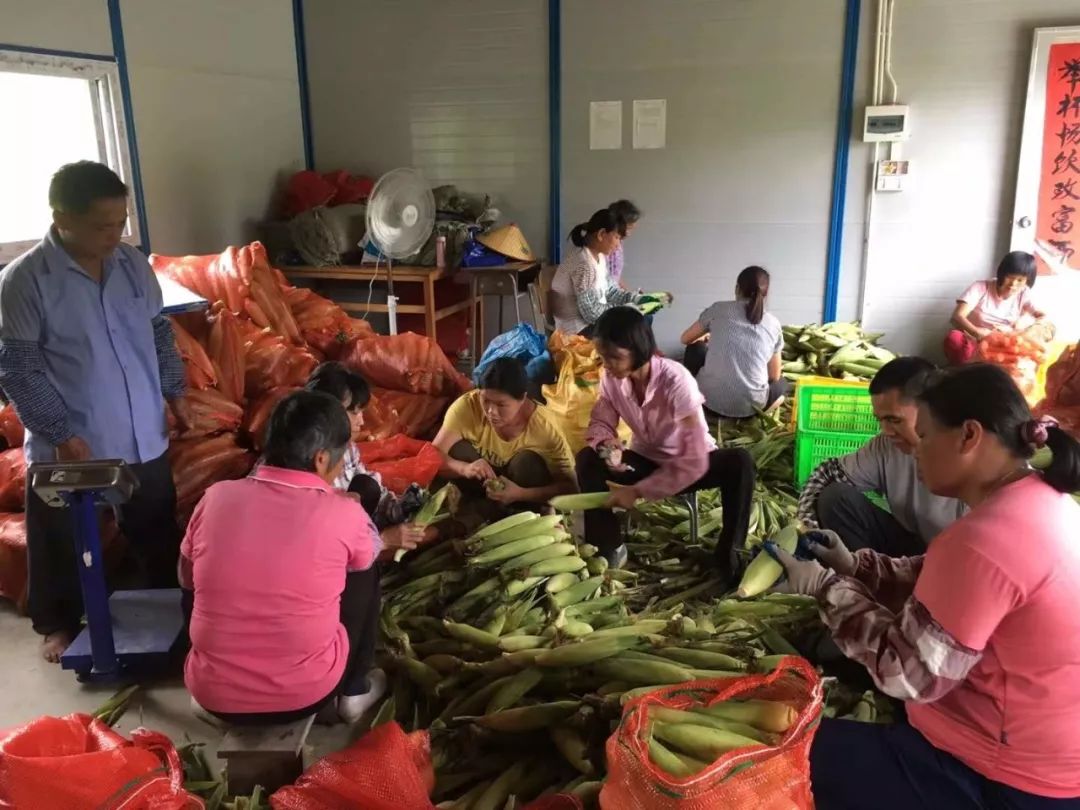 富硒水果生产基地的条件(水果基地条件生产富硒农产品)-硒宝网