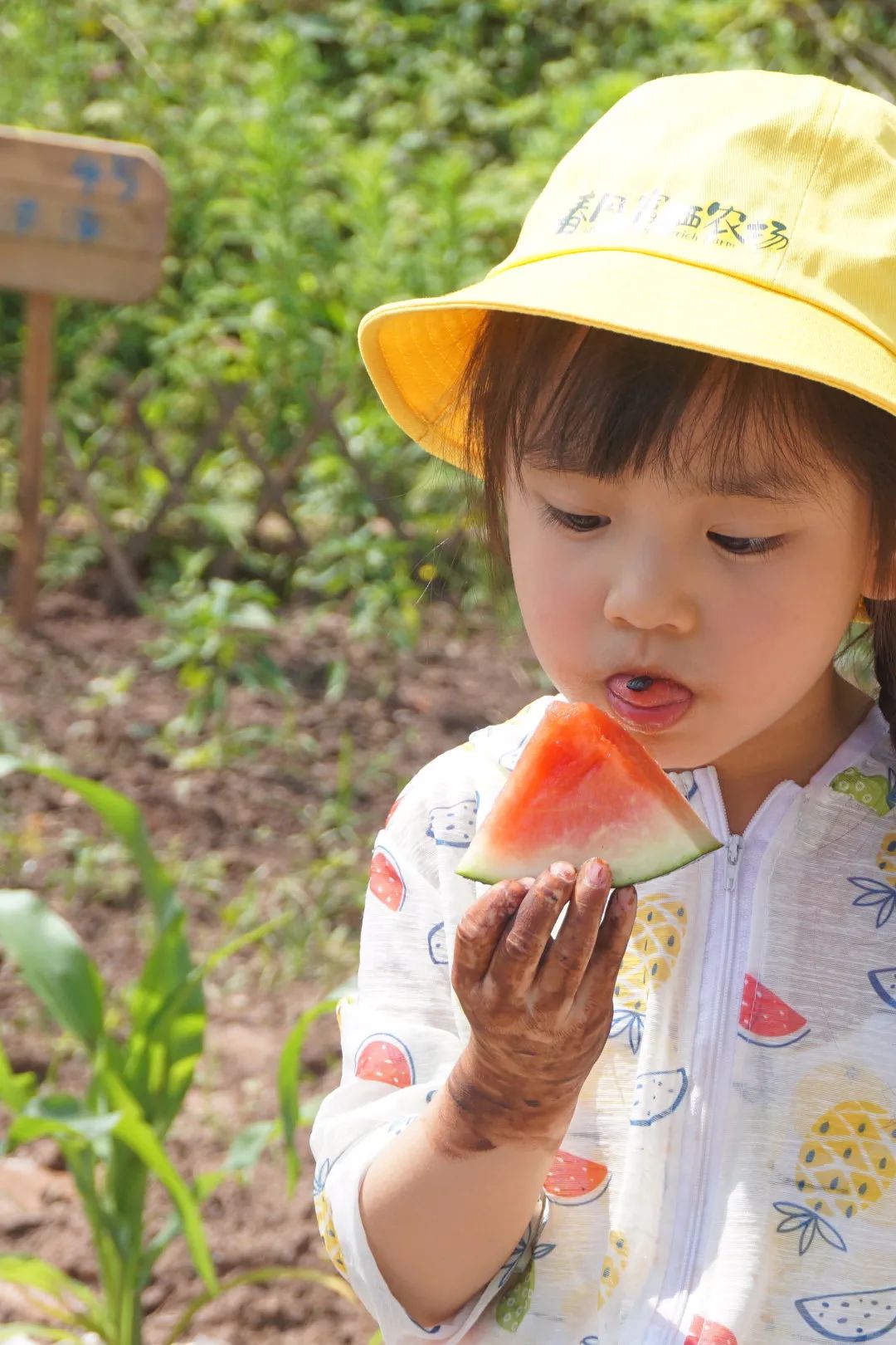 天然富硒水果品种有哪些(富硒水果前十名)-硒宝网