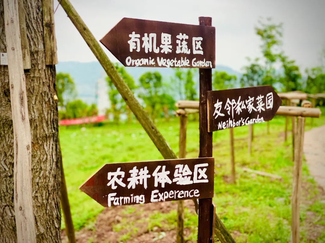 天然富硒水果品种有哪些(富硒水果前十名)-硒宝网