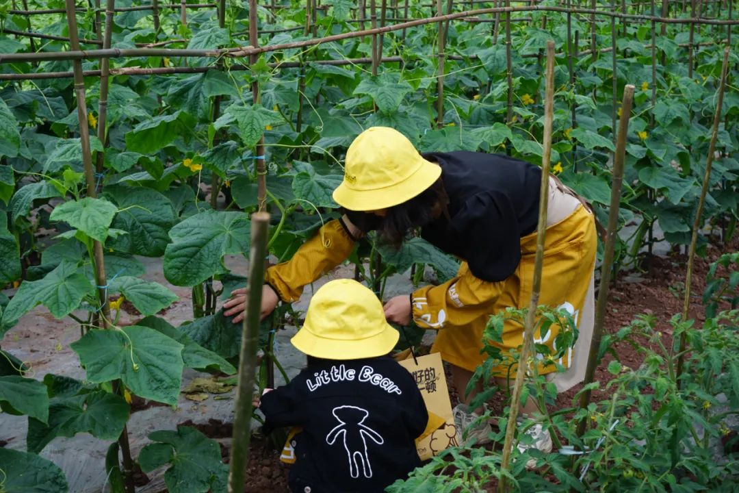天然富硒水果品种有哪些(富硒水果前十名)-硒宝网
