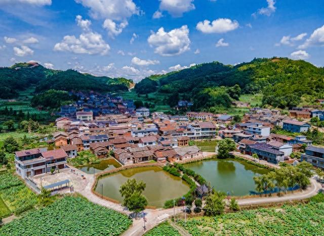 富硒水果市场前景如何样(富硒食品市场)-硒宝网