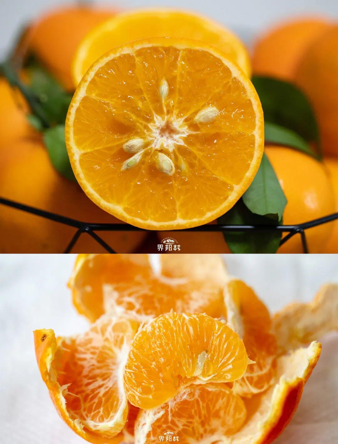 富硒果是一种什么水果呢(水果果种富硒是什么意思)-硒宝网