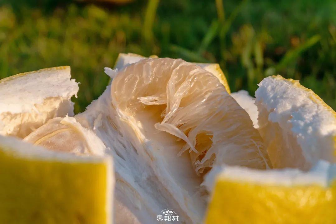 富硒果是一种什么水果呢(水果果种富硒是什么意思)-硒宝网