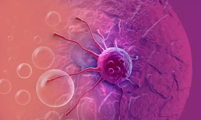 世界硒都的硒产品有哪些（硒世界产品有哪些公司）-硒宝网