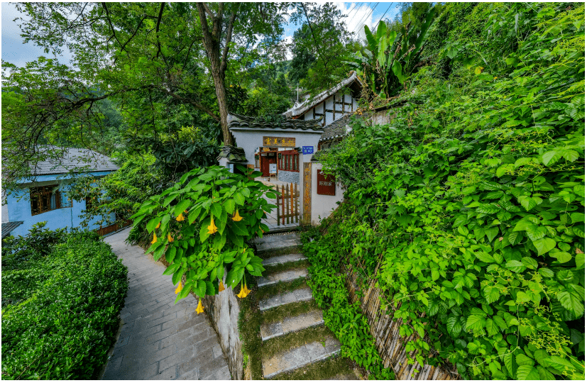 贵州开阳硒硒佳农产品铺（贵州开阳富硒产品）-硒宝网