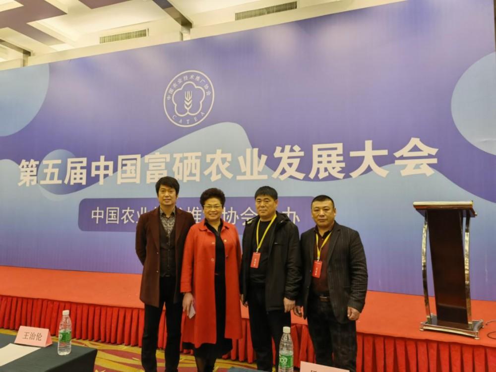 中农硒元素是哪家的产品（农元素产品硒中是什么成分）-硒宝网