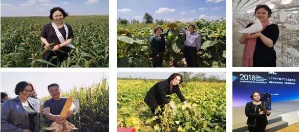 纳米硒属于农产品吗对吗(纳米硒材料)-硒宝网