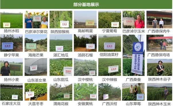 纳米硒属于农产品吗对吗(纳米硒材料)-硒宝网