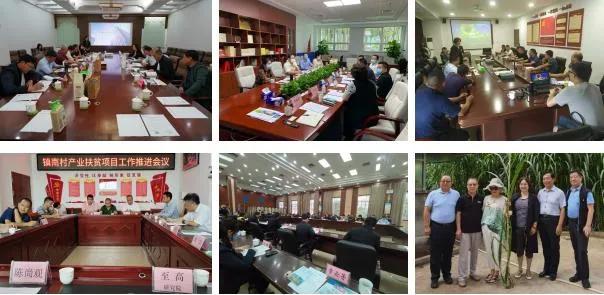 纳米硒属于农产品吗对吗(纳米硒材料)-硒宝网