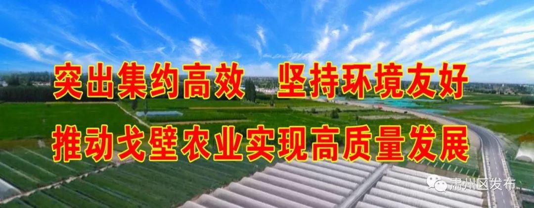 佛慈产品麦硒良饮的作用(麦硒良饮ceo)-硒宝网