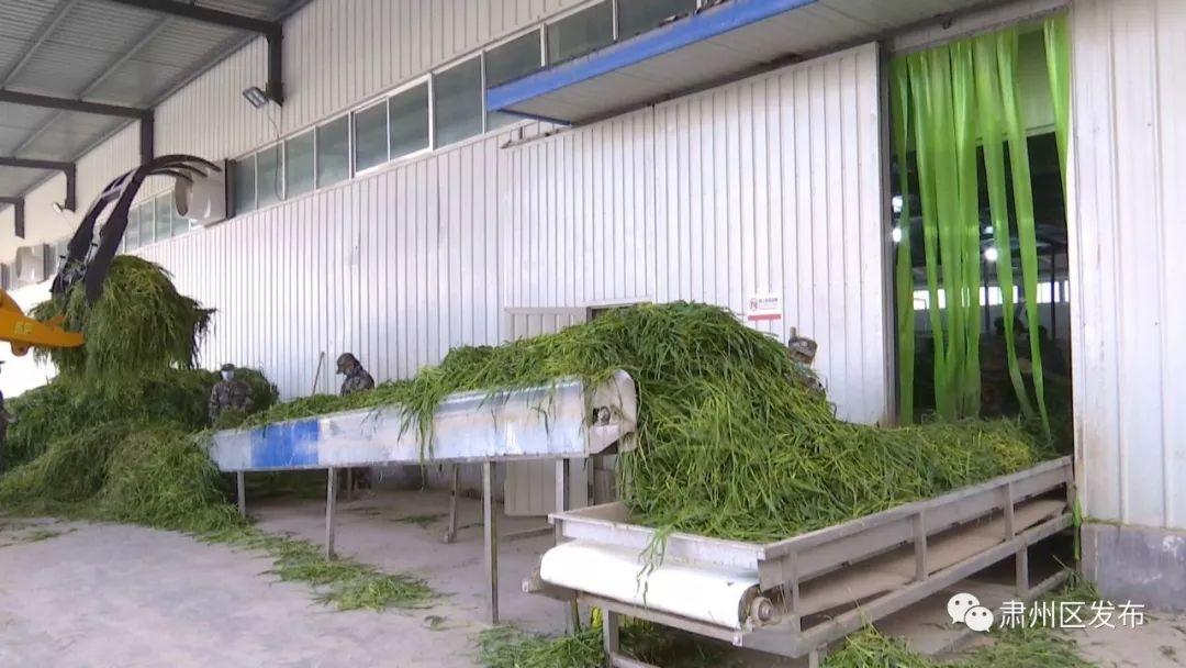 佛慈产品麦硒良饮的作用(麦硒良饮ceo)-硒宝网