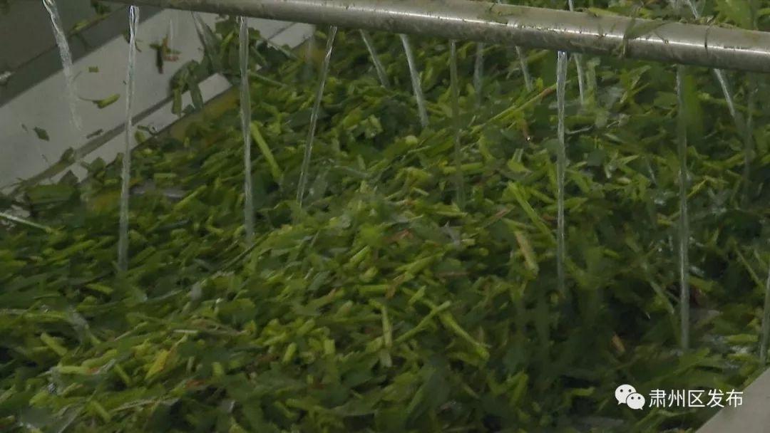 佛慈产品麦硒良饮的作用(麦硒良饮ceo)-硒宝网