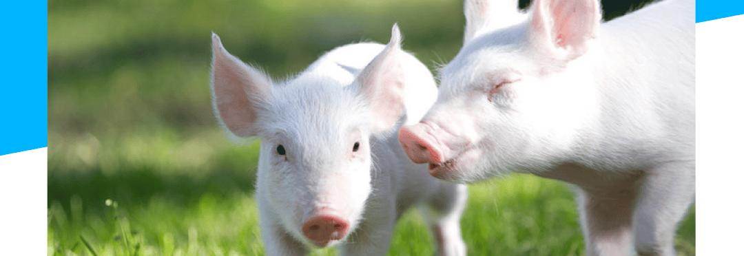 纳米硒是第几代硒产品啊（纳米硒生产厂家）-硒宝网