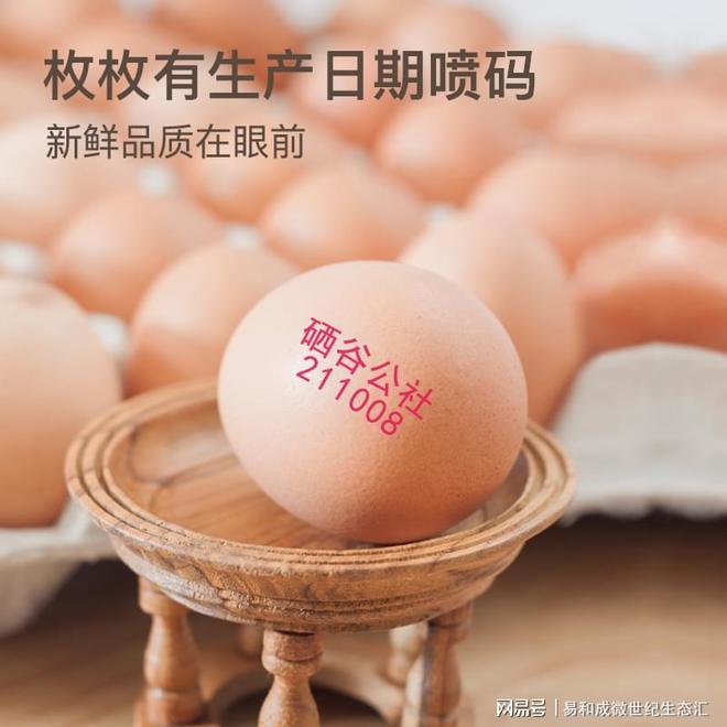 无机硒转化为有机硒产品(无机硒价格)-硒宝网