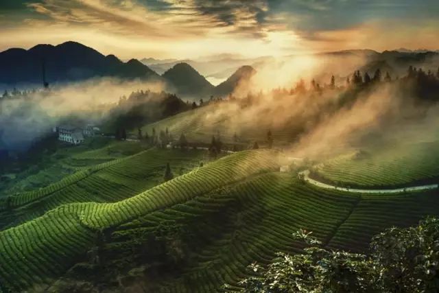 湖北恩施硒产品联盟总部(恩施硒产品公司)-硒宝网