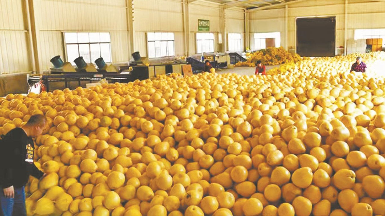 中国名优 特色 硒产品（中国生产硒最好的企业）-硒宝网