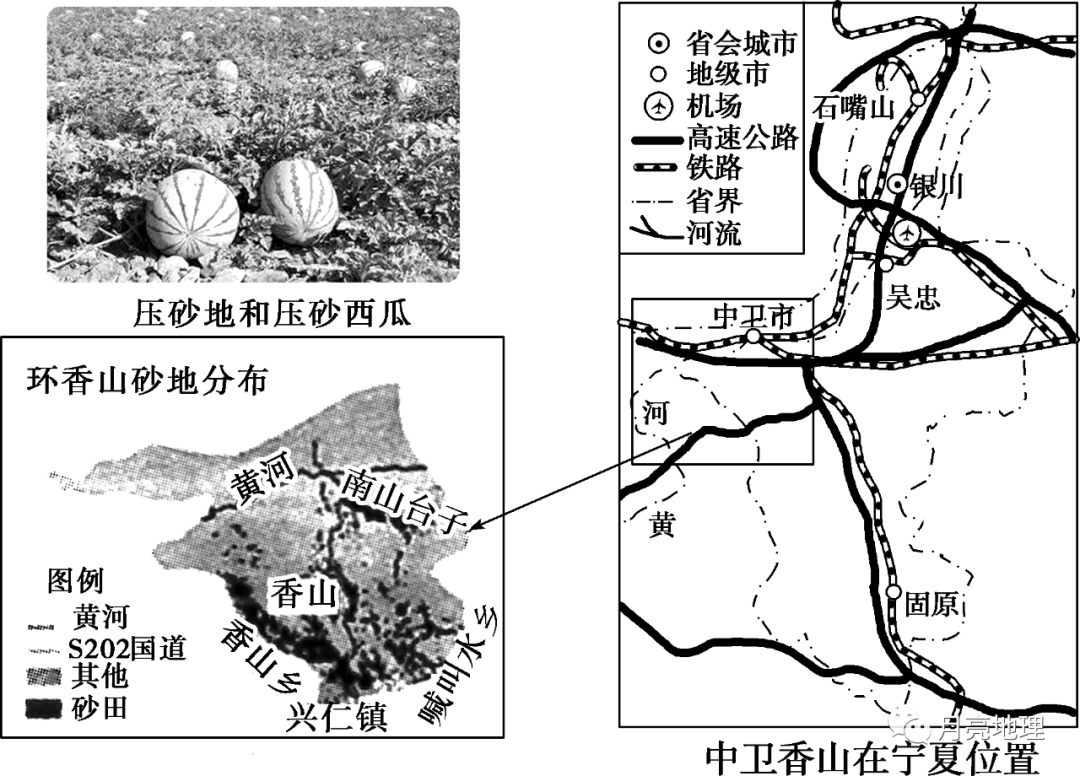 中国地理标志产品硒砂瓜(中国硒砂瓜之乡)-硒宝网