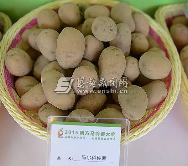 国家批准的硒产品有哪些（国家认证的补硒产品）-硒宝网