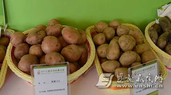 国家批准的硒产品有哪些（国家认证的补硒产品）-硒宝网