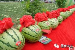 中国地理标志产品硒砂瓜(硒砂瓜地理题)-硒宝网