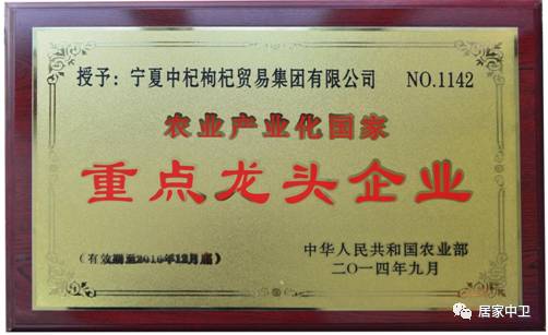 中国地理标志产品硒砂瓜(硒砂瓜地理题)-硒宝网