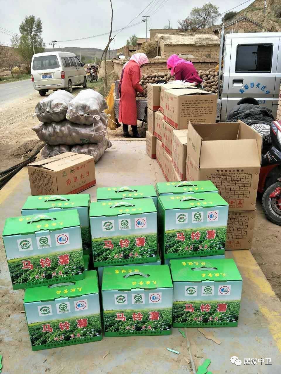 中国地理标志产品硒砂瓜(硒砂瓜地理题)-硒宝网