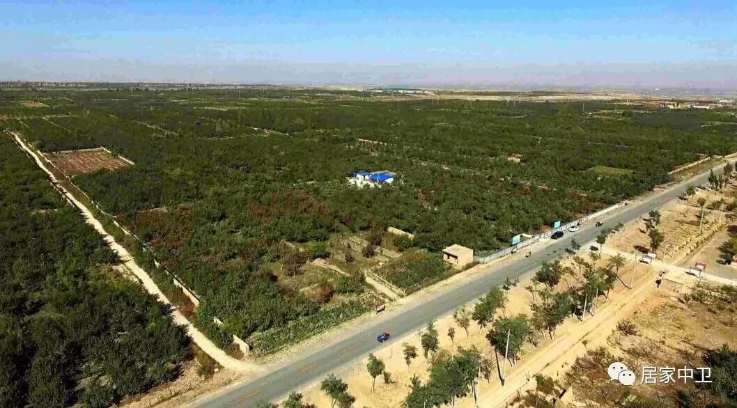 中国地理标志产品硒砂瓜(硒砂瓜地理题)-硒宝网