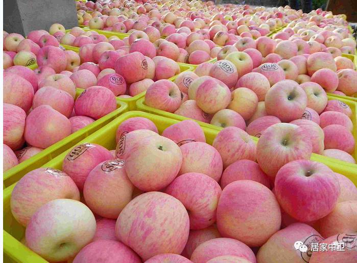 中国地理标志产品硒砂瓜(硒砂瓜地理题)-硒宝网