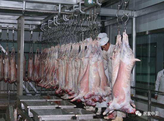 中国地理标志产品硒砂瓜(硒砂瓜地理题)-硒宝网