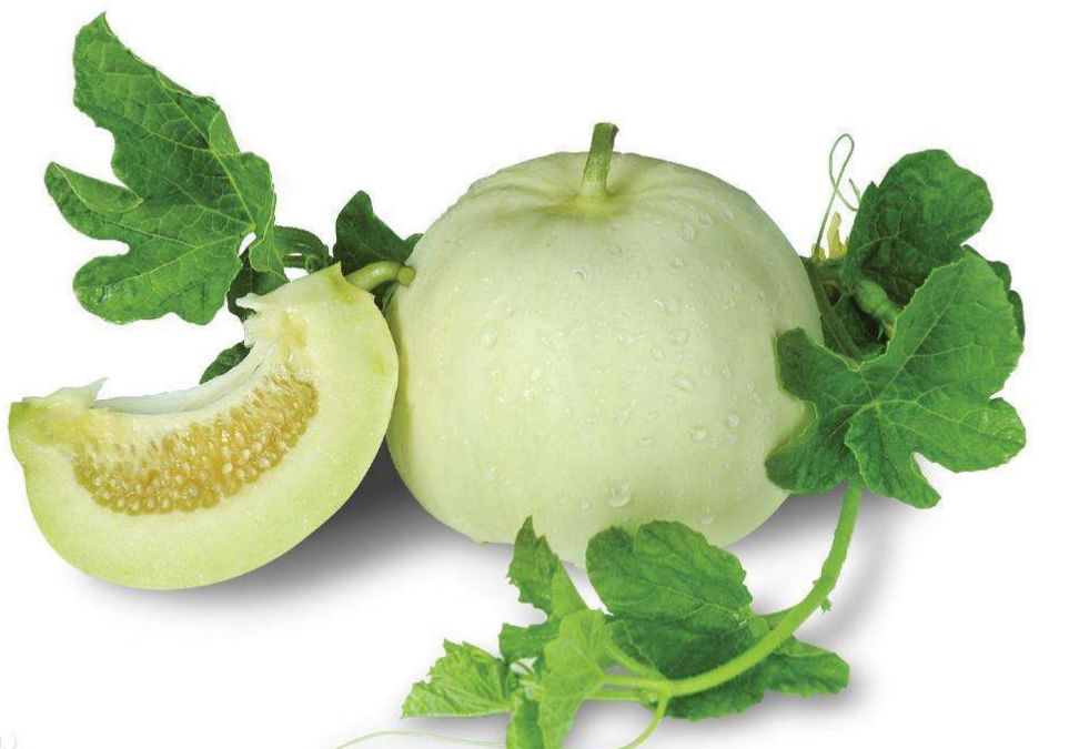 国家批准的硒产品有哪些(国家硒产品质检中心)-硒宝网