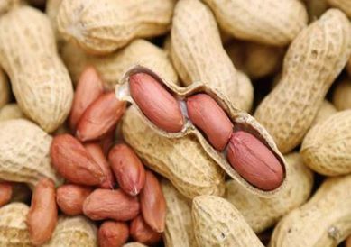 国家批准的硒产品有哪些(国家硒产品质检中心)-硒宝网