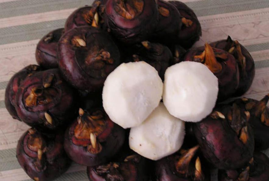 国家批准的硒产品有哪些(国家硒产品质检中心)-硒宝网