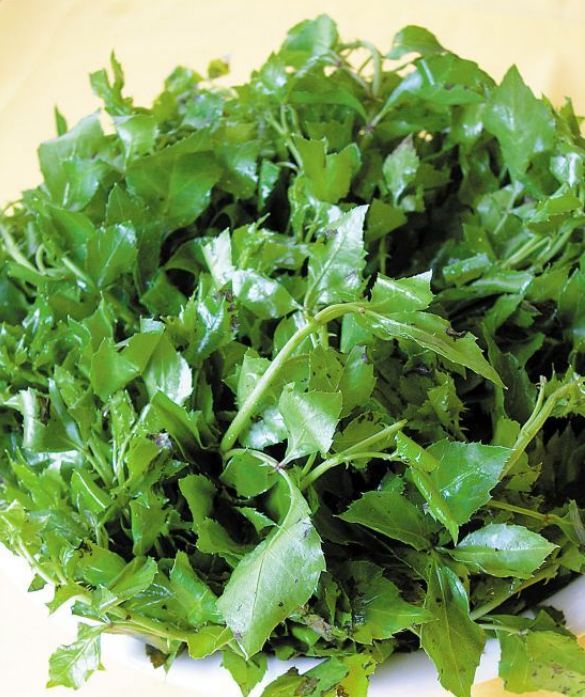 国家批准的硒产品有哪些(国家硒产品质检中心)-硒宝网