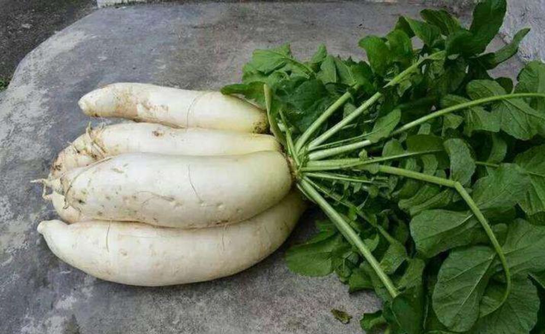 国家批准的硒产品有哪些(国家硒产品质检中心)-硒宝网